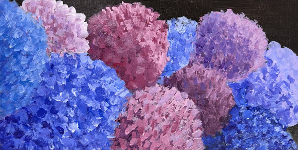 Hydrangeas on Black by Artnova Gallery
