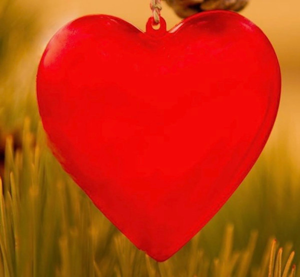 Hardings Heart by Artnova Gallery & Salt Studio