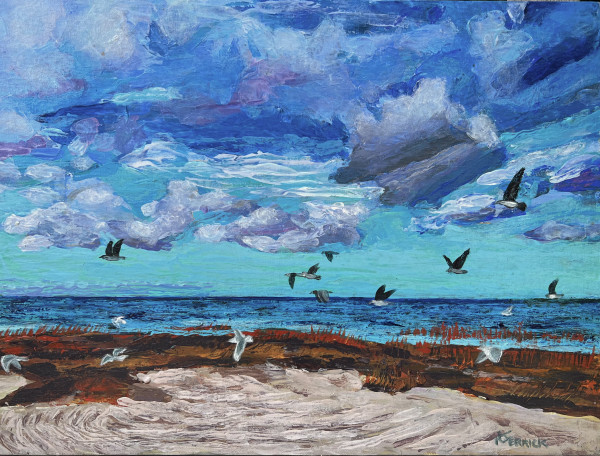 Gulls at Skaket by Artnova Gallery