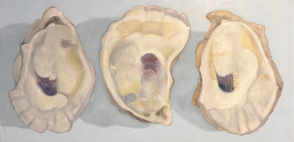 Three Oyster Shells by Artnova Gallery & Salt Studio