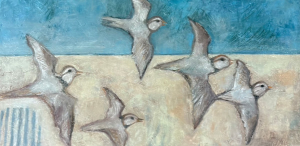 Sandpipers by Artnova Gallery & Salt Studio