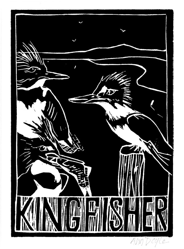 Kingfisher by Artnova Gallery