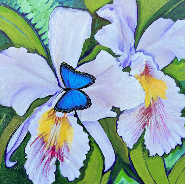 Orchids and Butterfly by Artnova Gallery