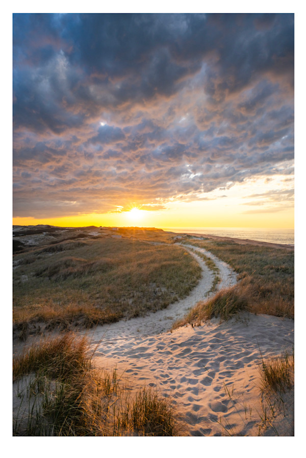Province Lands Pathway by Artnova Gallery