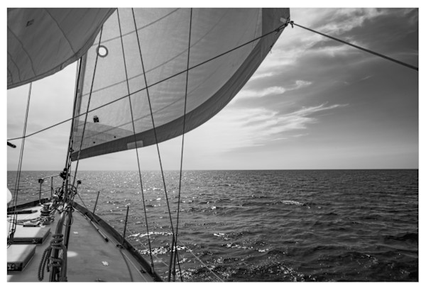 Nantucket Sail in B&W by Artnova Gallery