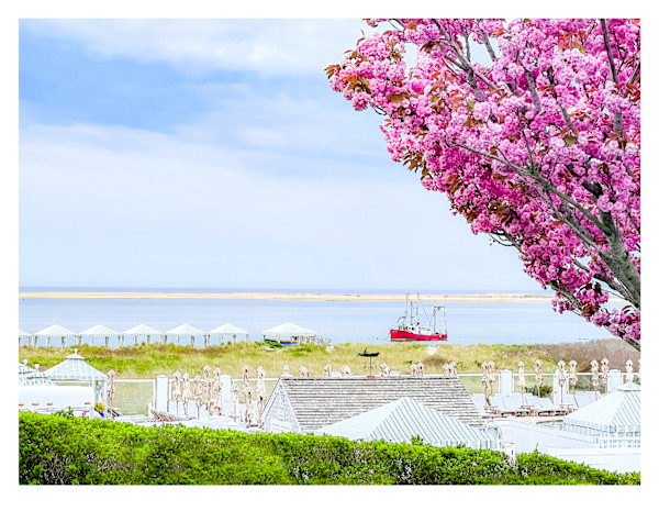 Springtime at Chatham Bars Inn by Artnova Gallery