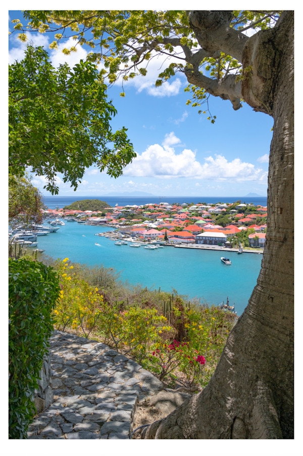 Amour Gustavia by Artnova Gallery & Salt Studio