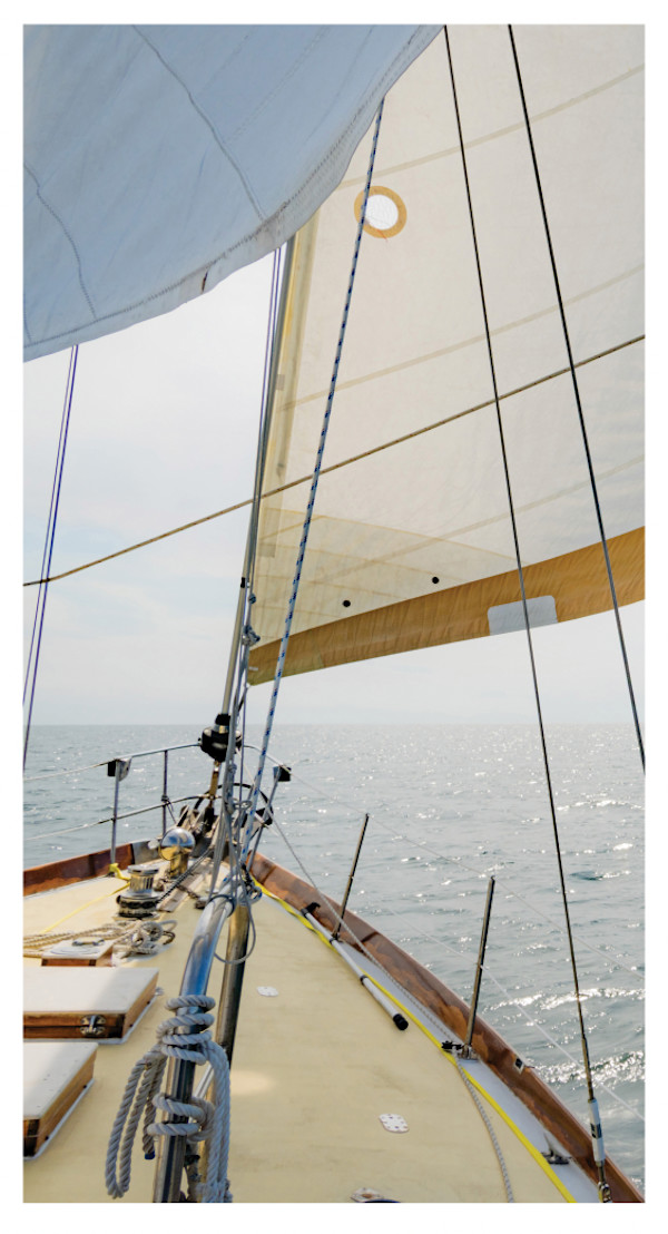 Nantucket Sail #2 by Artnova Gallery & Salt Studio, Image 1.