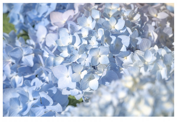 Summer Light by Artnova Gallery & Salt Studio
