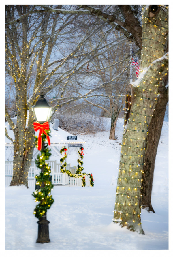 Kate Gould Christmas by Artnova Gallery & Salt Studio