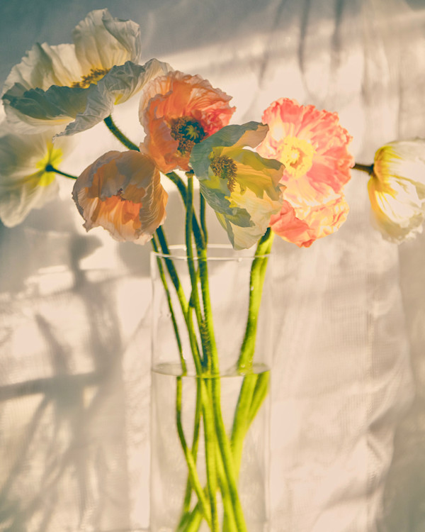 Sunlit Blooms by Artnova Gallery