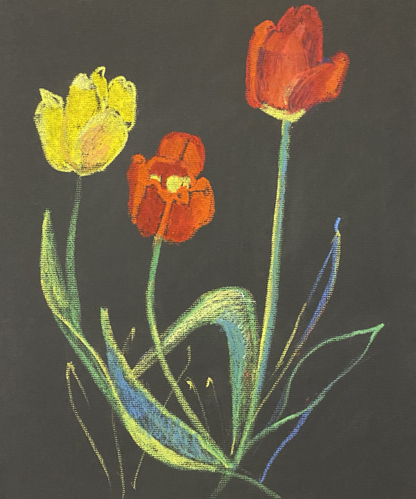 Tulips by Artnova Gallery