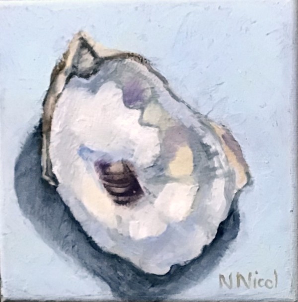 Single Shell by Artnova Gallery