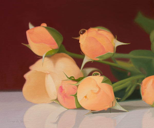 Raindrops on roses by Emma de Souza