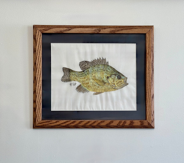 Pumpkinseed Sunfish by Kaylee Hettenbaugh, Image 2.