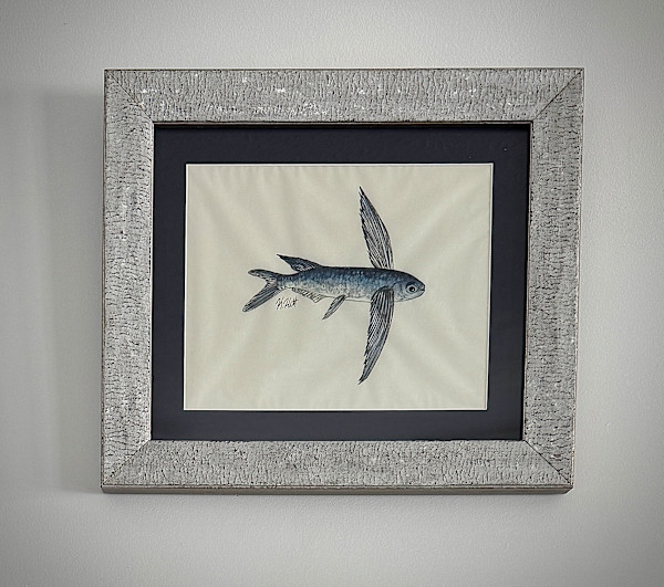 Flying Fish III by Kaylee Hettenbaugh, Image 1.