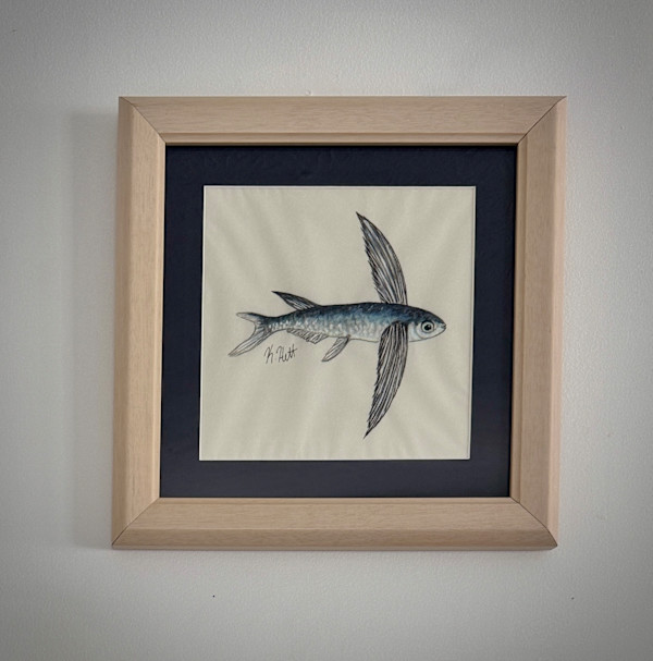 Flying Fish II by Kaylee Hettenbaugh, Image 1.