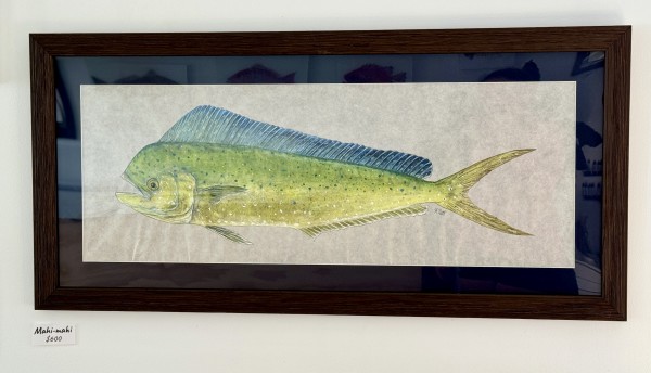 Mahi-Mahi by Kaylee Hettenbaugh