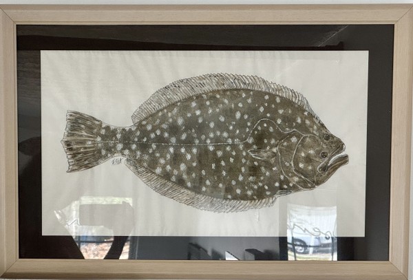 Southern Flounder by Kaylee Hettenbaugh