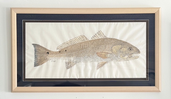 Redfish I by Kaylee Hettenbaugh