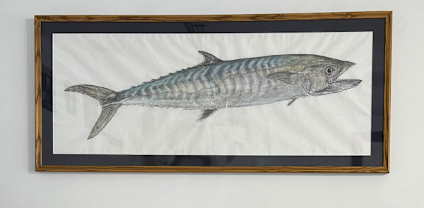 King Mackerel by Kaylee Hettenbaugh