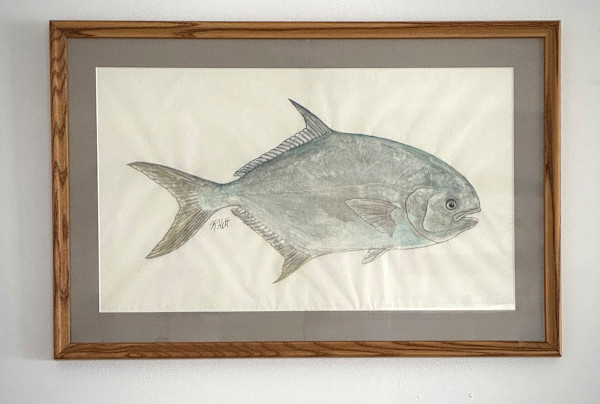 Florida Pompano by Kaylee Hettenbaugh