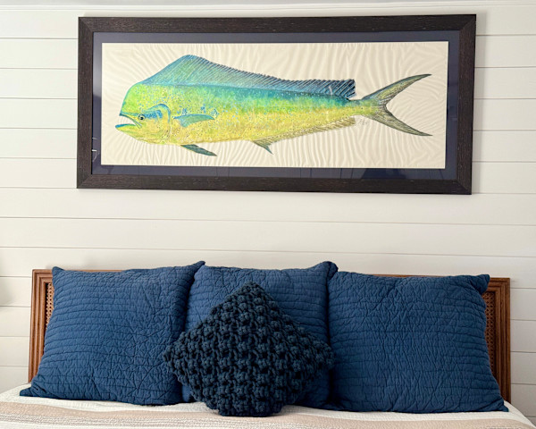 Bull Mahi-mahi by Kaylee Hettenbaugh