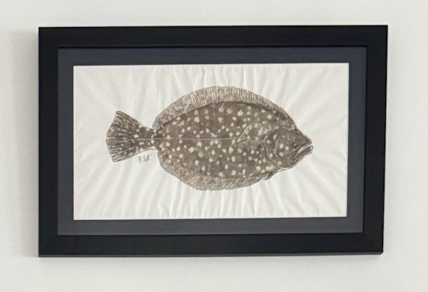 Southern Flounder by Kaylee Hettenbaugh