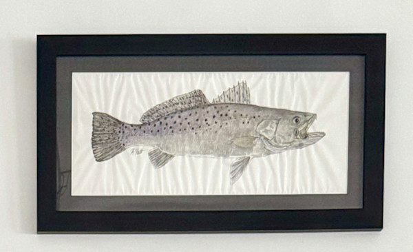 Speckled Sea Trout I by Kaylee Hettenbaugh
