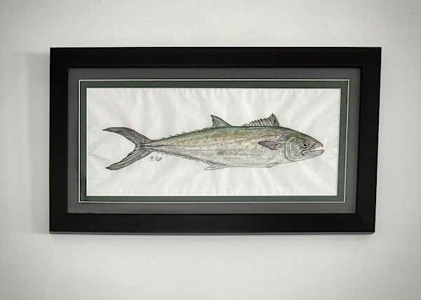 Spanish Mackerel by Kaylee Hettenbaugh, Image 1.