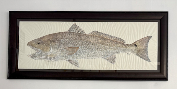 Bull Redfish by Kaylee Hettenbaugh, Image 1.