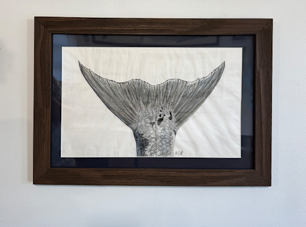 Barracuda Tail I by Kaylee Hettenbaugh, Image 2.