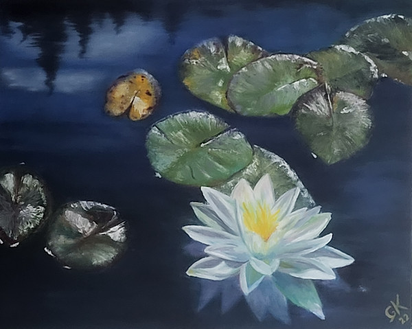 Marsh Lake Water Lily- Algoma by Gail Knecht