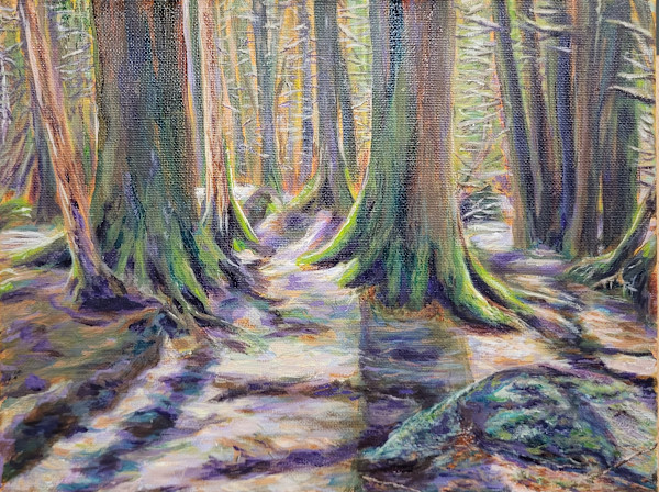 Enchanting Forest-Presqui'le by Gail Knecht, Image 1.