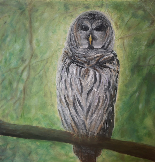 (In Progress)Daytime Visitor at thr Glen by Gail Knecht, Image 1.