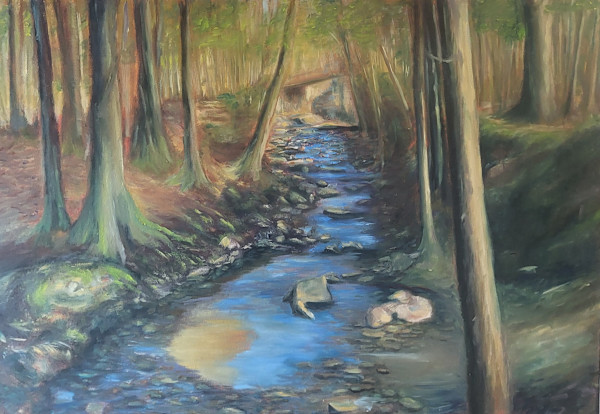 (IN PROGRESS)Morning light in the Deschenese Trail- North Ba by Gail Knecht, Image 1.