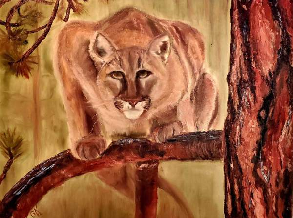 Mountain Lion BC by Gail Knecht