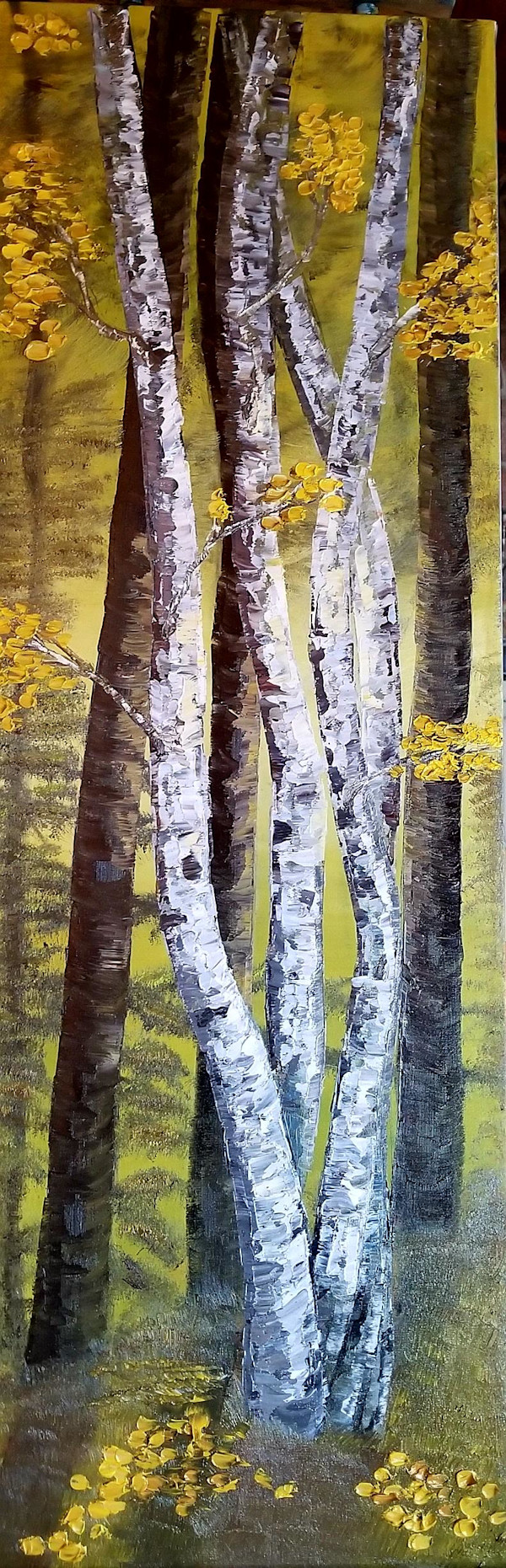 View from the Loo.. Birch Trees at the Glen by Gail Knecht