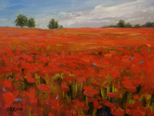 Forever Poppies by Sonia Kane