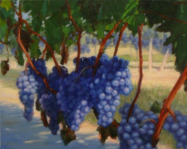 Fruit of the Vine by Sonia Kane
