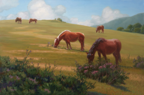 Grazing on the Pyrenees by Sonia Kane
