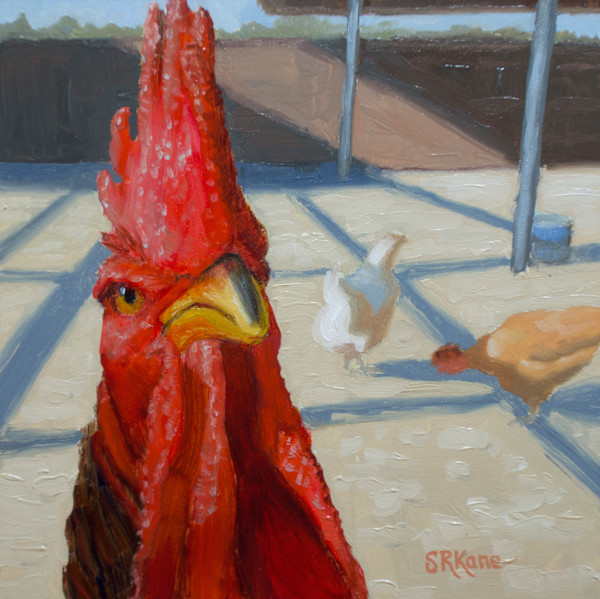 Portrait of a Rooster by Sonia Kane