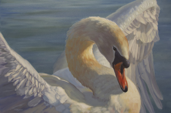 Sunbathing Swan by Sonia Kane