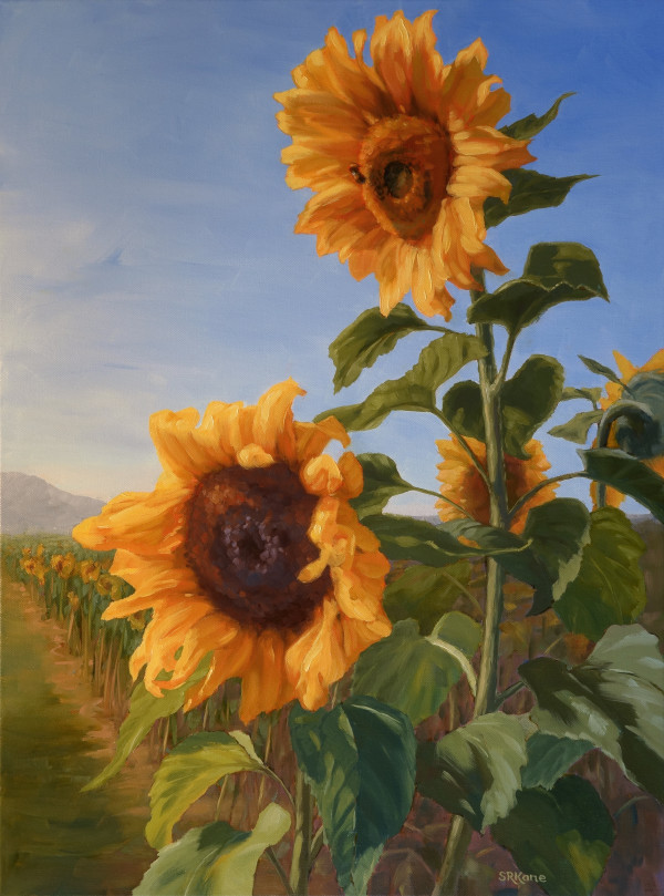 Sunflower Power by Sonia Kane