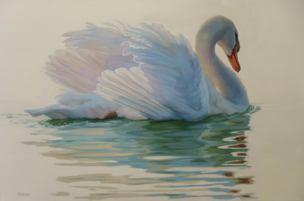 Swan at Dawn