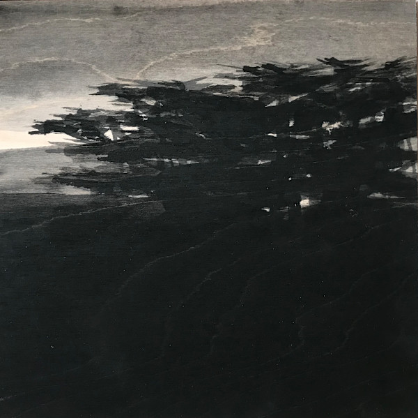 West Marin by Isabel Wyatt