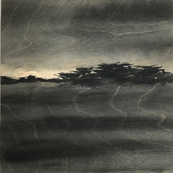 Cypress by Isabel Wyatt