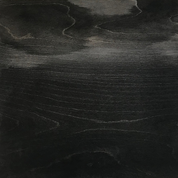 Last Light by Isabel Wyatt