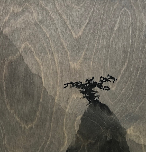 Recluse by Isabel Wyatt