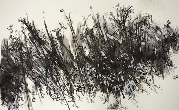 The Progression by Mackenzie Schmidt, Image 1.